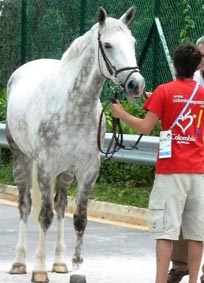 Mario Gamboa (COL) and Titan